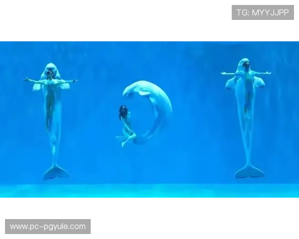 如何在pg娱乐国际首页快速注册账号，轻松开启你的精彩娱乐之旅