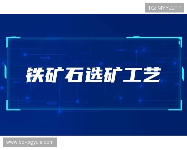 PA百家官网官方平台介绍及注册登录流程详解帮助玩家快速上手