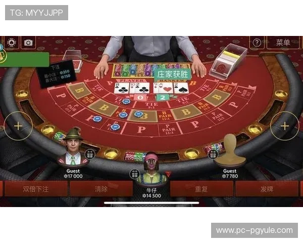 掌握百家乐必胜玩法技巧提升你的赢钱几率