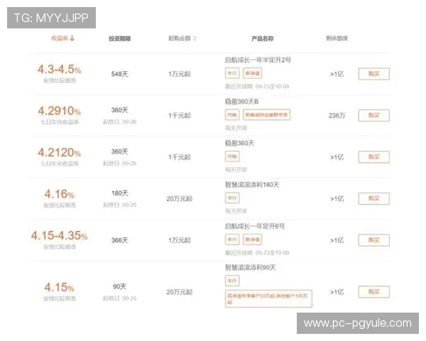 掌握百家乐路单技巧实现稳健盈利的详细分析与实战经验分享
