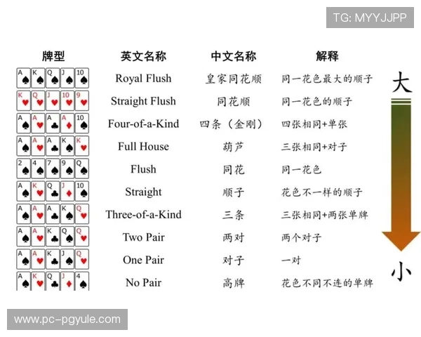 最新扑克牌德州游戏规则全面解析新手快速入门必看