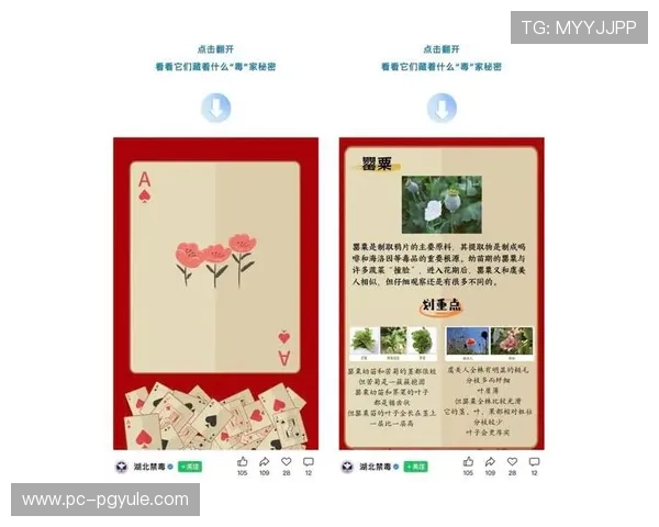 百家乐扑克补牌规则的常见误区与正确操作指南让你在游戏中轻松应对各种补牌情况