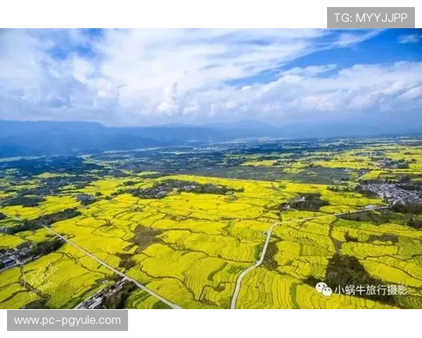 开云体育百家乐策略指南帮助新手快速入门实现稳健盈利的方法