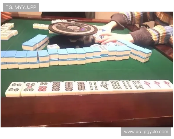 PG娱乐麻将胡牌的牌数限制详解，帮助玩家理解不同胡牌方式的牌数要求提升游戏策略