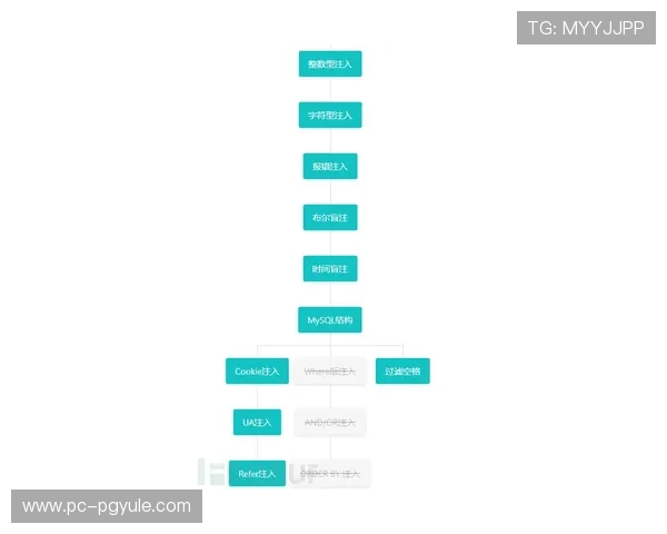 如何在PA视讯官网进行充值与提现操作流程详解确保资金安全与交易顺畅